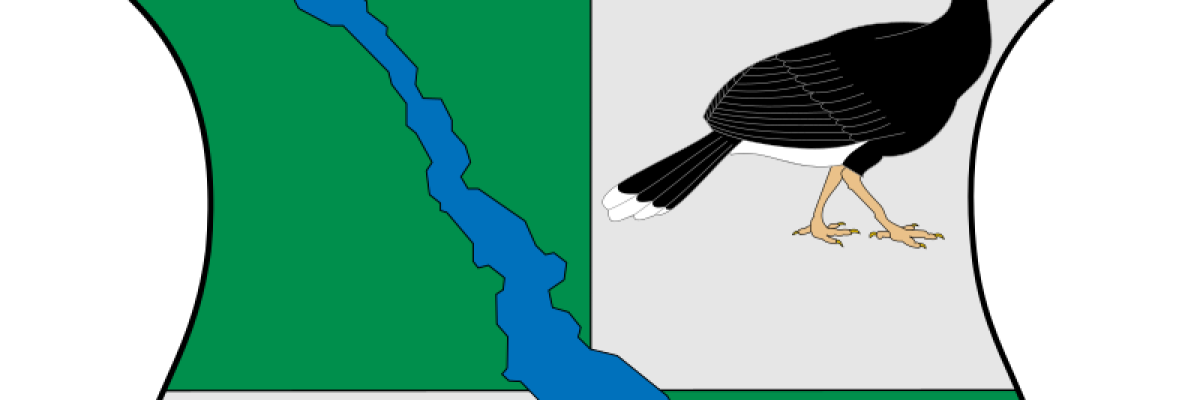 Contraloria del departamento de Caquetá