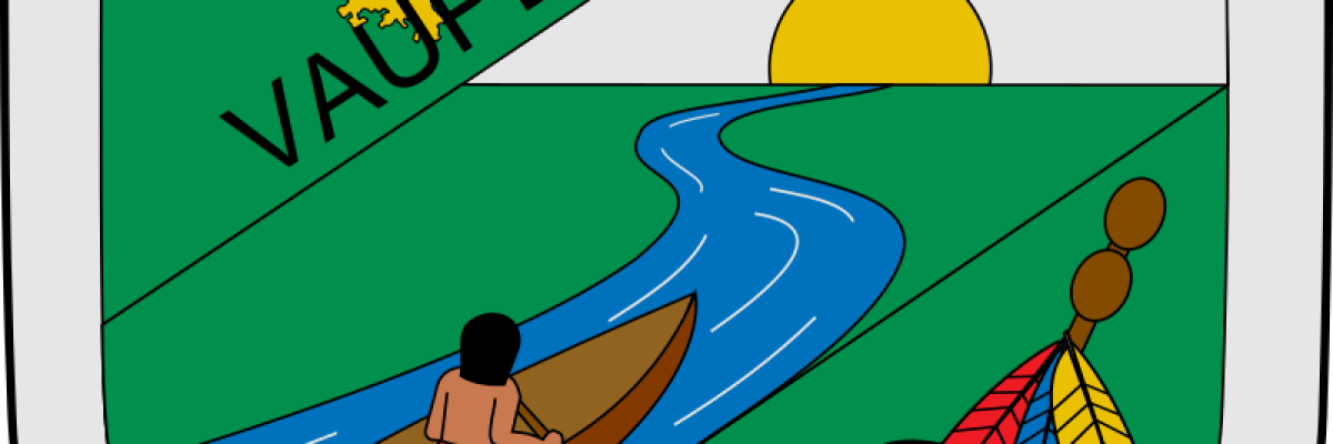 Contraloria del departamento de Vaupés