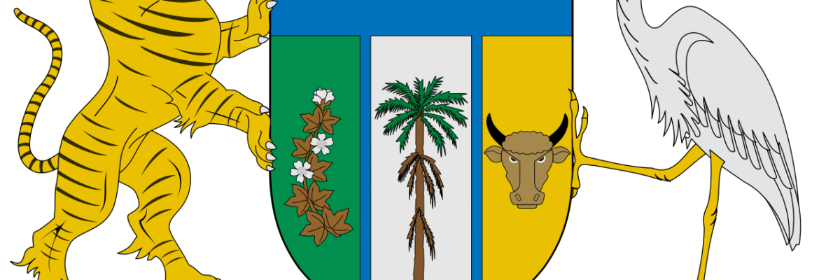 Contraloria del departamento de Vichada